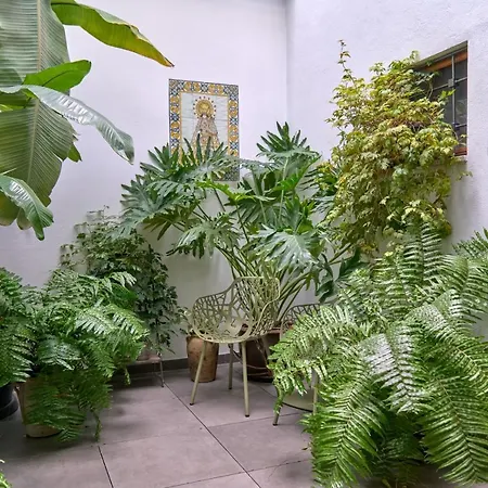 Barracart Apart Otel Valensiya