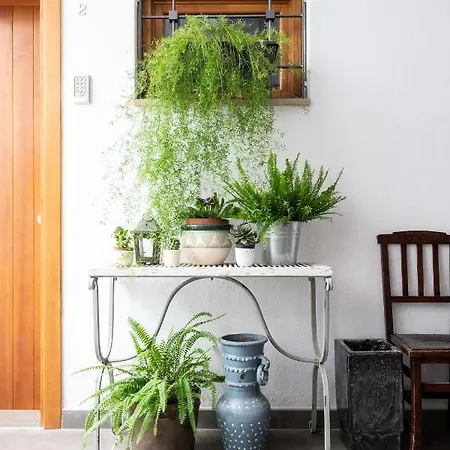 شقة فندقية Barracart