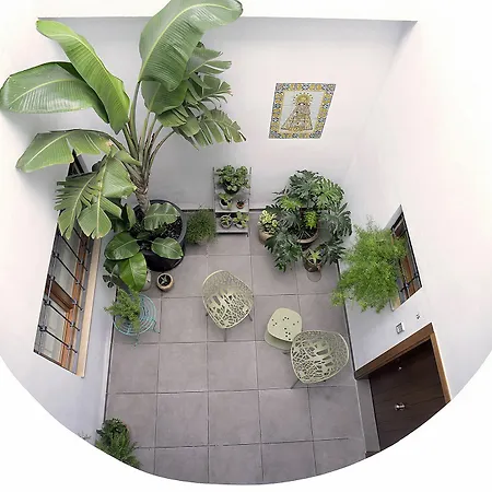 Barracart Apartment *