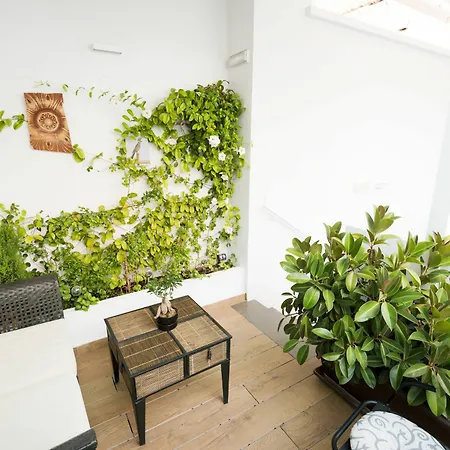 Apartment Barracart